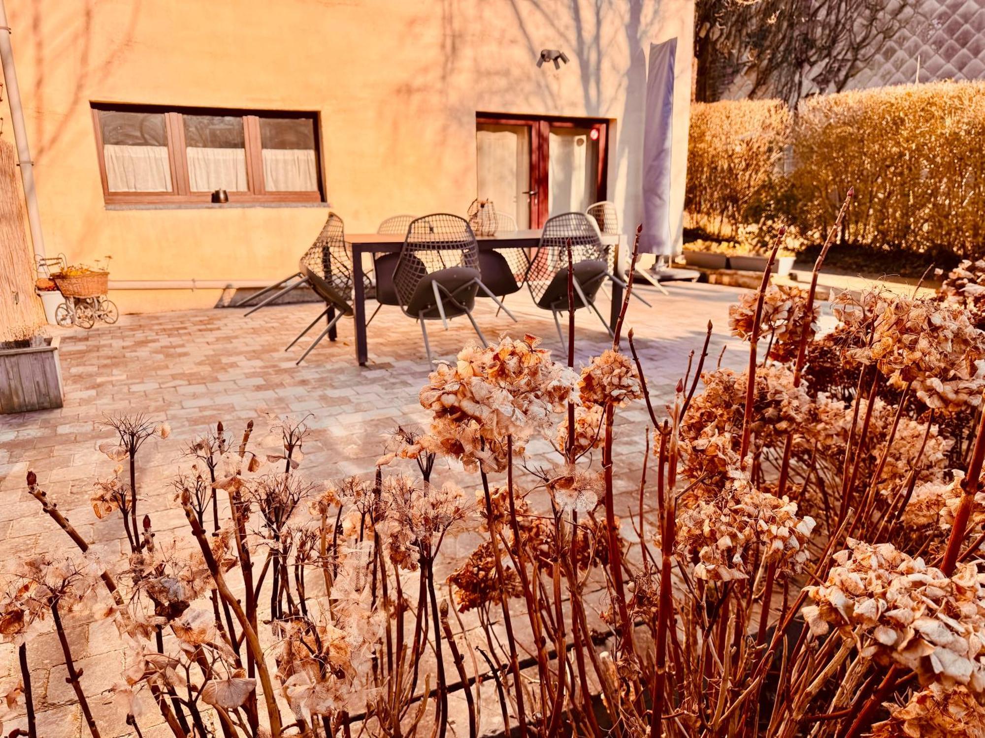 Oboho - Le Gite Boheme Esneux Exteriér fotografie
